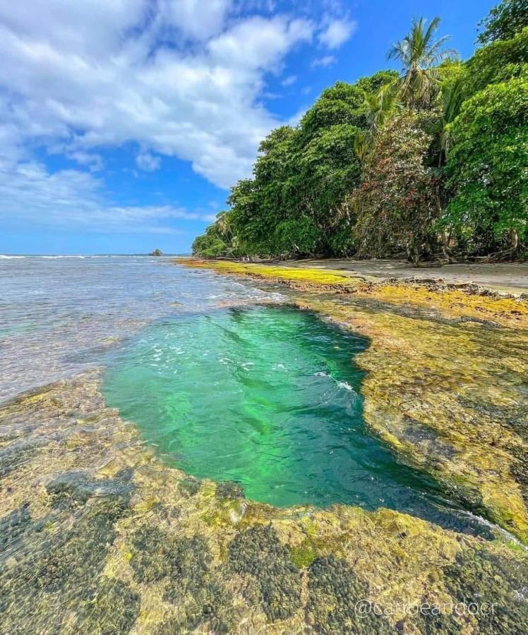 Puerto Viejo de TalamancaCasa Mar别墅 外观 照片